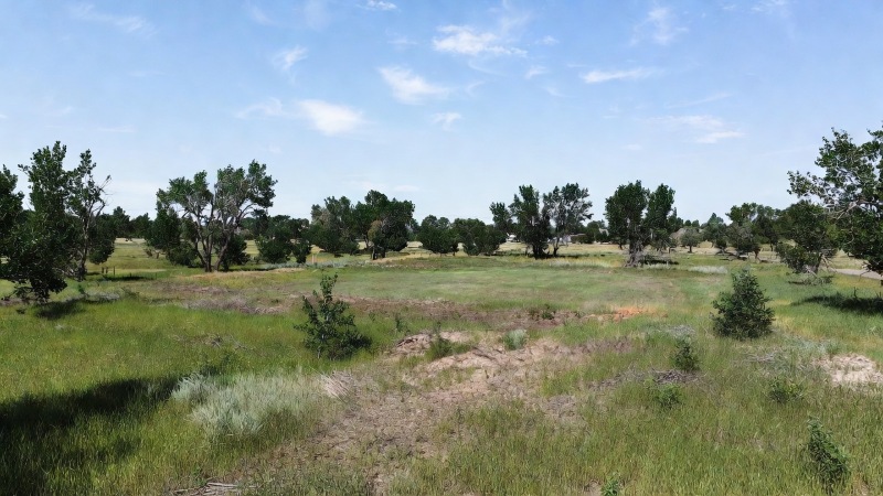 Open Idaho land before custom home site planning